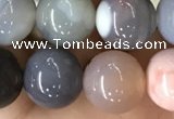 CAA2382 15.5 inches 12mm round Botswana agate beads wholesale