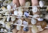 CAA3837 Top drilled 10*14mm faceted briolette montana agate beads