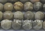 CAA3961 15.5 inches 6mm faceted round chrysanthemum agate beads