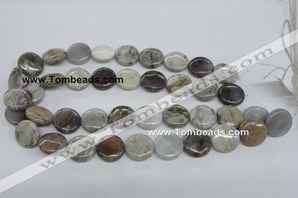 CAA778 15.5 inches 20mm flat round New Brazilian agate beads