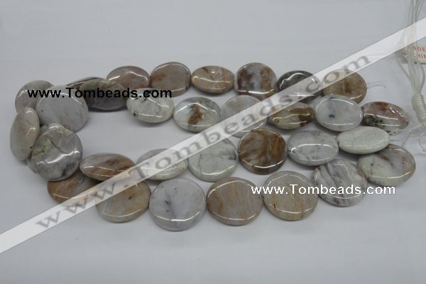 CAA779 15.5 inches 25mm flat round New Brazilian agate beads