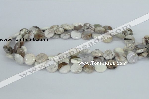 CAB101 15.5 inches 16mm flat round natural brazil agate beads