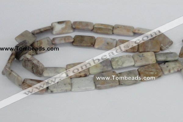 CAB112 15.5 inches 18*25mm rectangle natural brazil agate beads