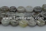 CAB146 15.5 inches 10mm flat round bamboo leaf agate beads