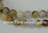 CAB591 15.5 inches 8mm round mexican agate gemstone beads wholesale
