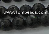 CAE37 15.5 inches 10mm faceted round astrophyllite beads wholesale
