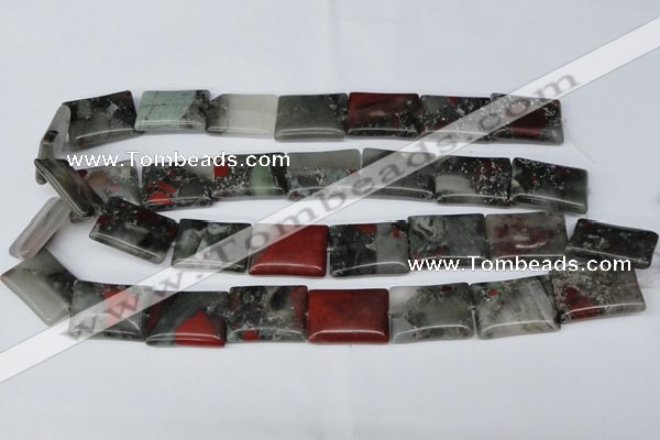 CAF02 15.5 inches 18*25mm rectangle African bloodstone beads