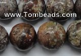 CAG1795 15.5 inches 20mm round rainbow agate beads wholesale