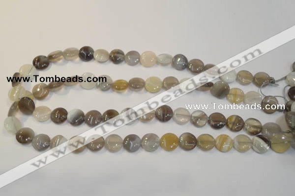 CAG2435 15.5 inches 12mm flat round Chinese botswana agate beads