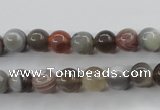 CAG3682 15.5 inches 8mm round botswana agate beads wholesale