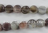 CAG3712 15.5 inches 10mm flat round botswana agate beads wholesale