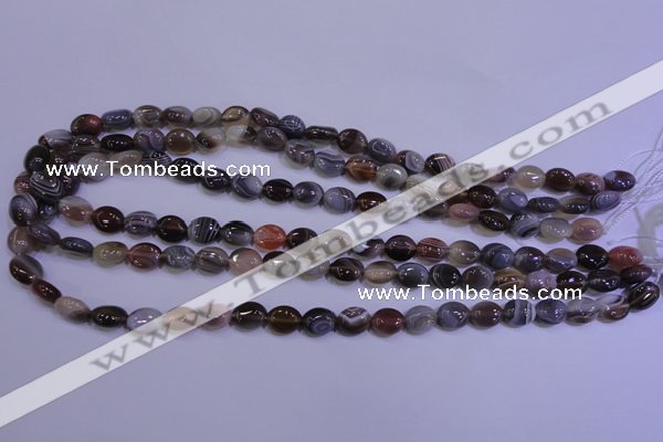 CAG4450 15.5 inches 8*10mm oval botswana agate beads wholesale