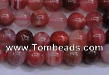 CAG6111 15.5 inches 6mm round south red agate gemstone beads
