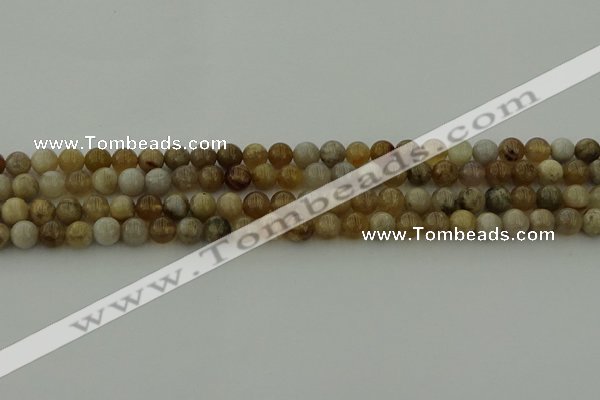 CAG9401 15.5 inches 6mm round ocean fossil agate beads wholesale