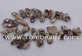 CAG9755 Top drilled 10*20mm - 16*50mm freeform ocean agate beads