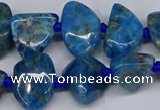 CAP532 15.5 inches 10*12mm - 16*22mm freeform apatite beads