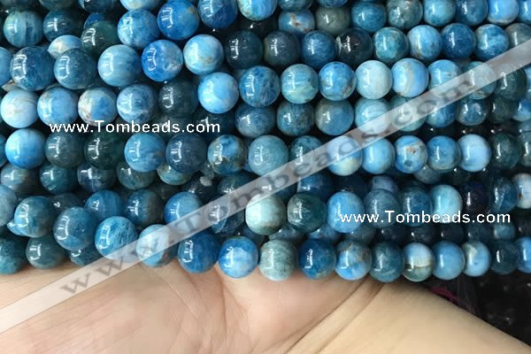 CAP579 15.5 inches 10mm round apatite beads wholesale
