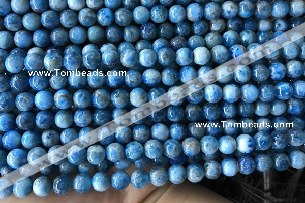 CAP583 15.5 inches 6mm round apatite gemstone beads