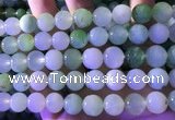 CAU475 15.5 inches 13mm round Australia chrysoprase beads