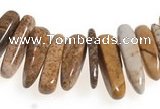 CCH26 16 inches picture jasper chips gemstone beads wholesale