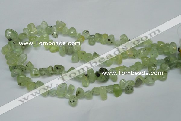CCH318 15.5 inches 10*15mm prehnite chips gemstone beads wholesale