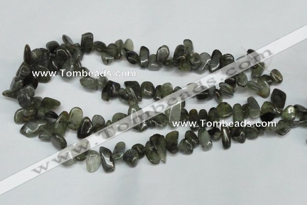 CCH320 15.5 inches 10*15mm labradorite chips gemstone beads wholesale