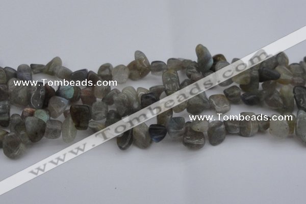 CCH618 15.5 inches 6*8mm - 10*14mm labradorite chips gemstone beads