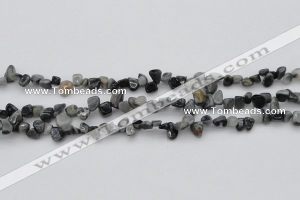 CCH633 15.5 inches 6*8mm - 10*14mm eagle eye jasper chips beads