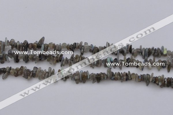 CCH646 15.5 inches 4*10mm - 6*14mm labradorite chips beads