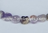 CDA65 15.5 inches 10mm flat round dogtooth amethyst beads wholesale