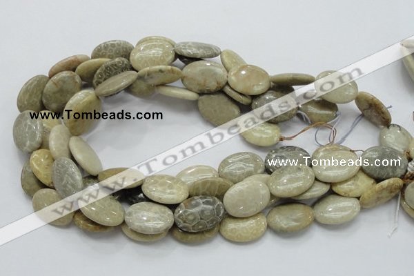 CFA11 15.5 inches 18*25mm oval chrysanthemum agate gemstone beads
