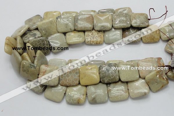 CFA18 15.5 inches 25*25mm square chrysanthemum agate beads
