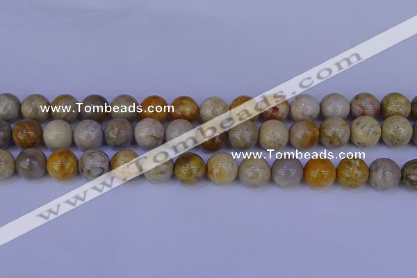 CFC204 15.5 inches 12mm round fossil coral beads wholesale