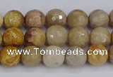 CFC229 15.5 inches 6mm faceted round fossil coral beads