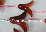 CFG504 15.5 inches 20*26mm carved flower red agate beads