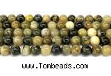 CHJ103 15 inches 10mm round honeybee jasper beads