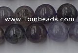 CIL102 15.5 inches 8mm round iolite gemstone beads wholesale