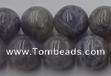 CIL103 15.5 inches 10mm round iolite gemstone beads wholesale