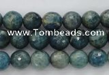 CKC223 15.5 inches 10mm faceted round natural kyanite beads wholesale