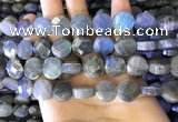 CLB1023 15.5 inches 12mm faceted coin labradorite gemstone beads