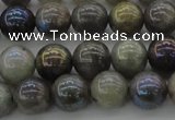 CLB603 15.5 inches 10mm round AB-color labradorite beads