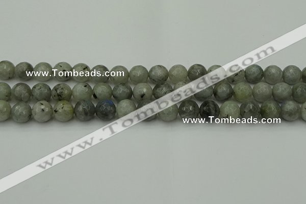 CLB863 15.5 inches 10mm faceted round AB grade labradorite beads