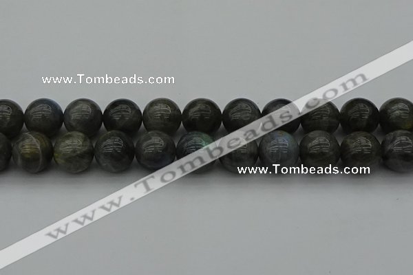 CLB954 15.5 inches 20mm round labradorite gemstone beads