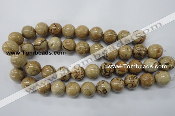 CLD51 15.5 inches 18mm round African leopard skin jasper beads