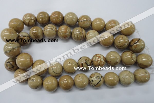 CLD52 15.5 inches 20mm round African leopard skin jasper beads