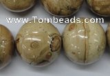 CLD53 15.5 inches 25mm round African leopard skin jasper beads
