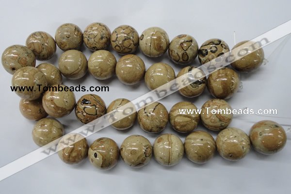 CLD53 15.5 inches 25mm round African leopard skin jasper beads