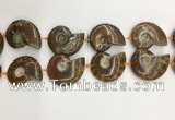 CMM10 15.5 inches 30*40mm - 35*45mm carved ammonite gemstone beads