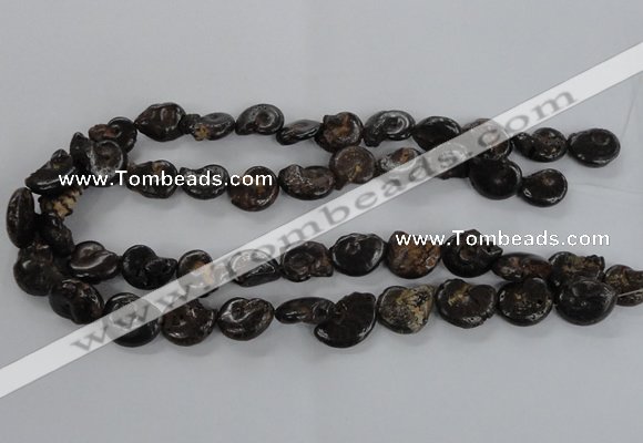 CMM51 15.5 inches 13*18mm - 15*20mm ammonite gemstone beads