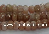 CMS1091 15.5 inches 5*8mm faceted rondelle moonstone beads